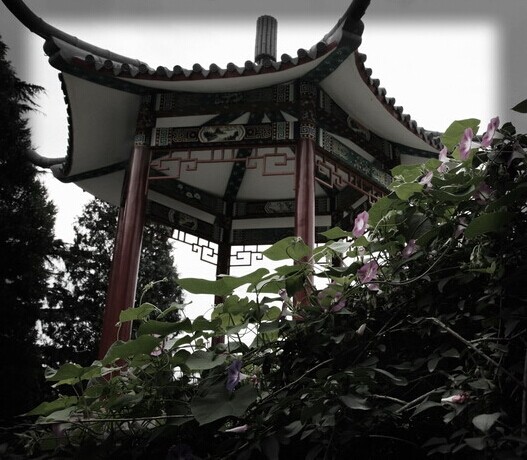 航天731医院整形外科